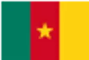 Cameroon flag